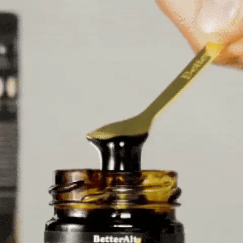 Energía Vital Shilajit